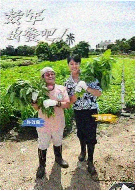 一区二区三区在线观看海外综艺